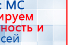 СКЭНАР-1-НТ (исполнение 01 VO) Скэнар Мастер купить в Ирбите, Аппараты Скэнар купить в Ирбите, Дэнас официальный сайт denasdoctor.ru