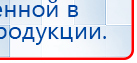 СКЭНАР-1-НТ (исполнение 01 VO) Скэнар Мастер купить в Ирбите, Аппараты Скэнар купить в Ирбите, Дэнас официальный сайт denasdoctor.ru